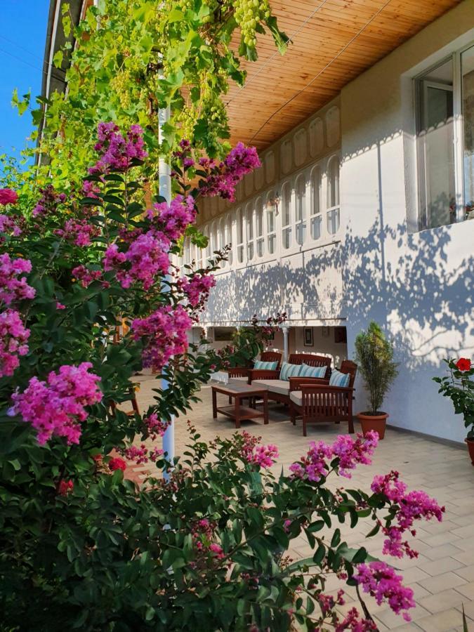 Joqolo Nazy'S Guest House מראה חיצוני תמונה